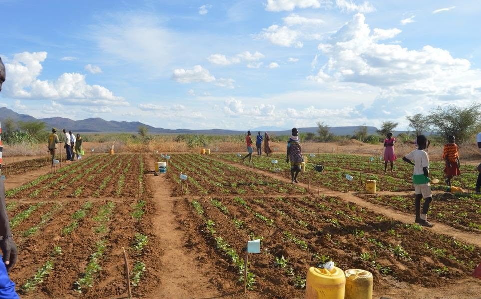 Building Resilient Communities Across Kenya